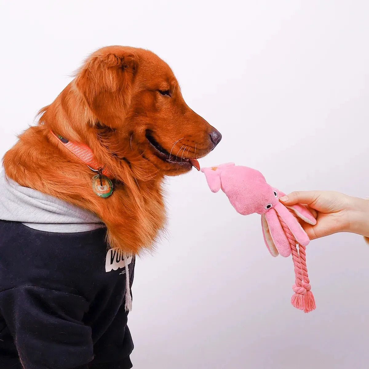 "Pet Octopus Rope Toy – Bite-Resistant & Interactive for Indoor/Outdoor Play"